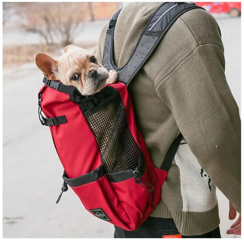 Hiking Pet Dog Carrier