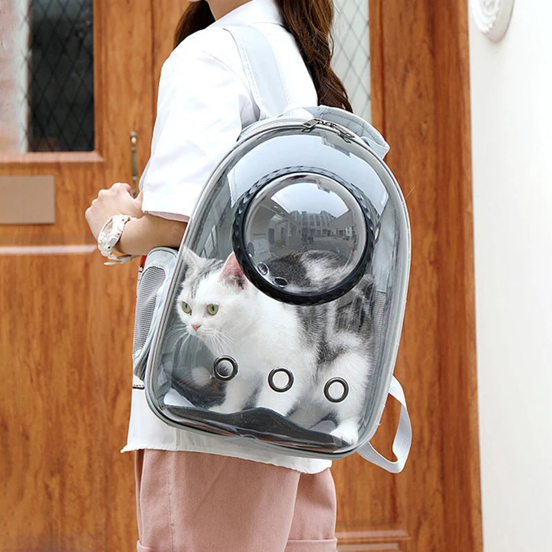 Cat Backpack Transparent Carrier