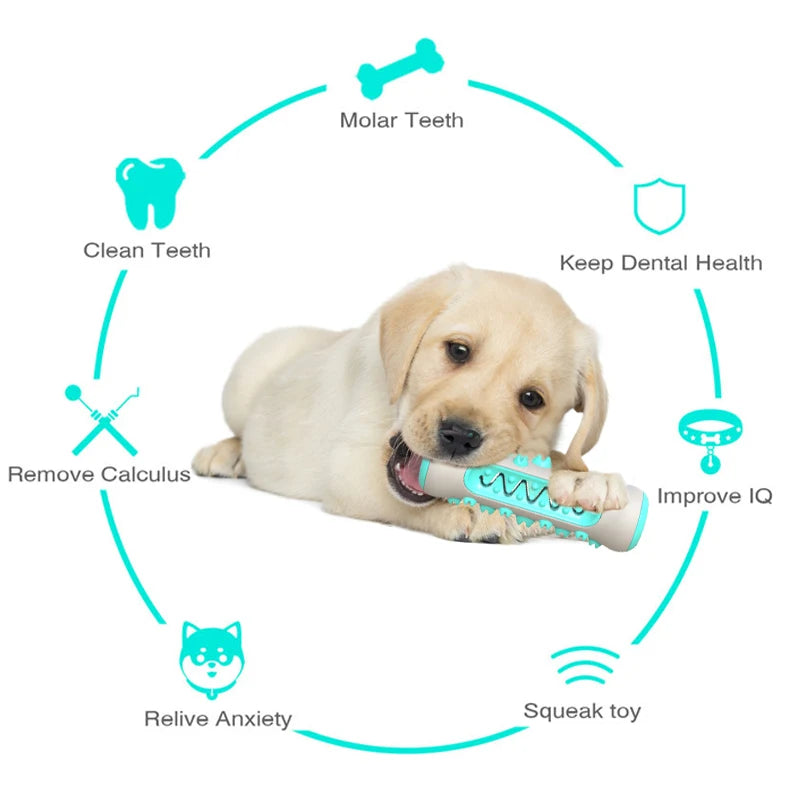 Dog Molar Toothbrush Chew Toys